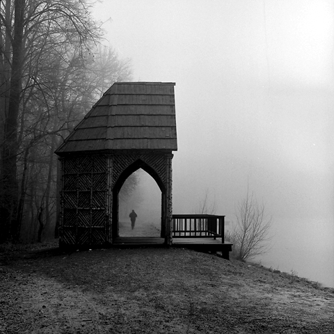 Damir Matijevic Photography - Morning Runner